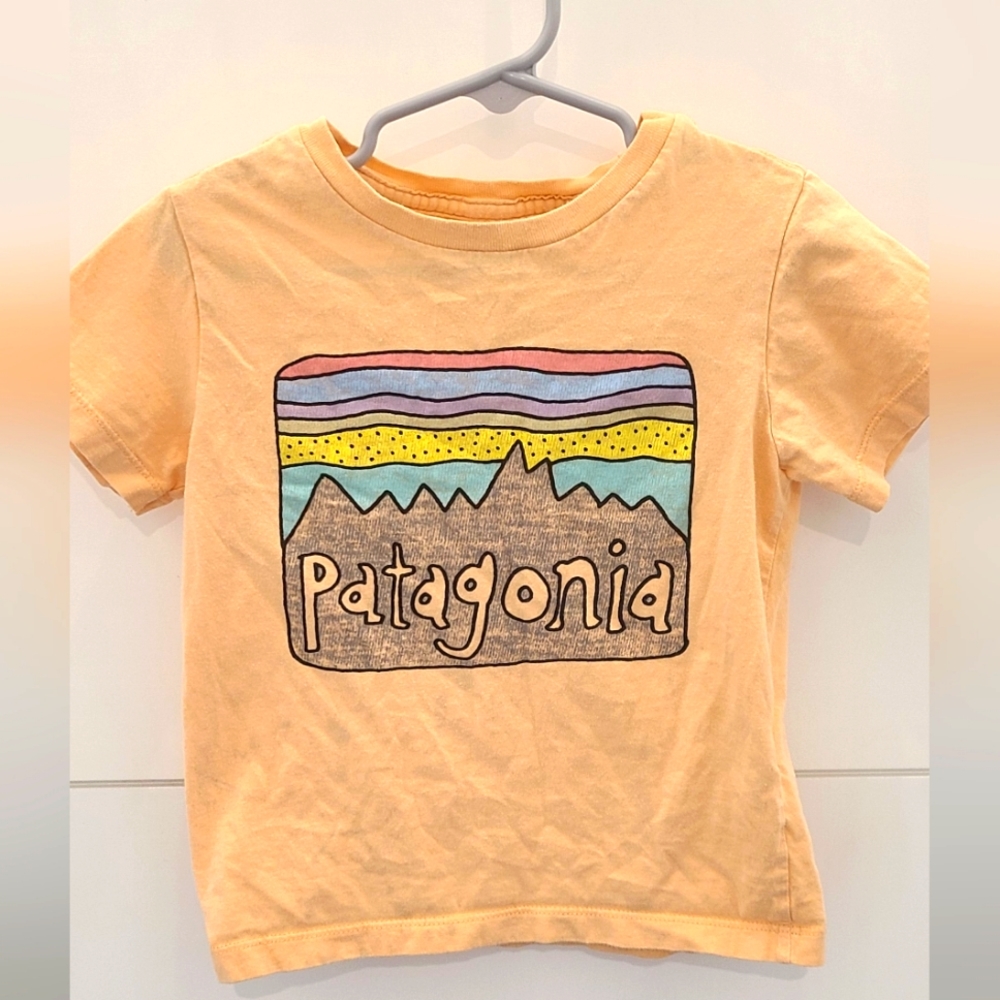 Patagonia Regenerative Organic Certified Cotton Fitz Roy Skies T-Shirt - Size 3T